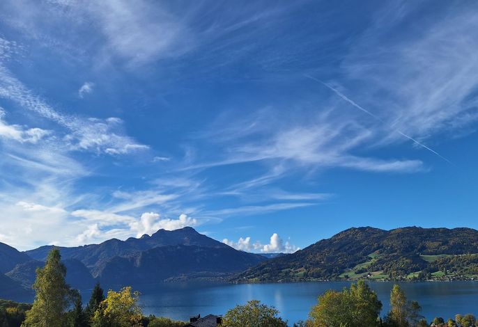 Bild 23