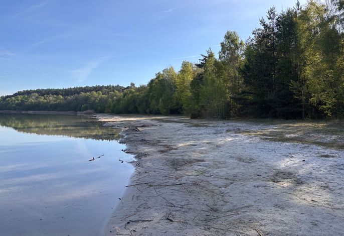 Bild 15