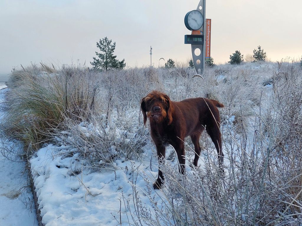 Asta im Winter Strandzugang