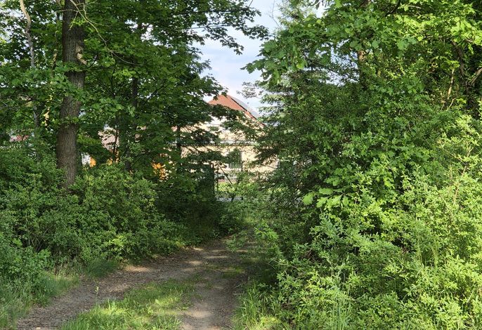 Bild 13