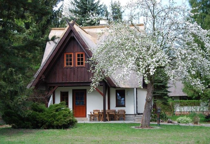 Ferienhaus Harmonie 2 (50 m²)