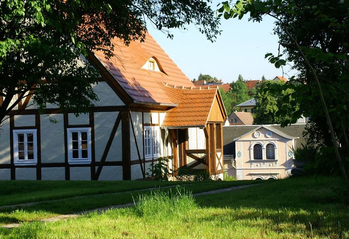 Bild 7
