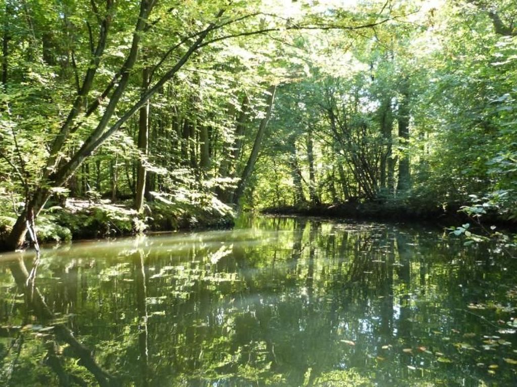 Tor zum Spreewald