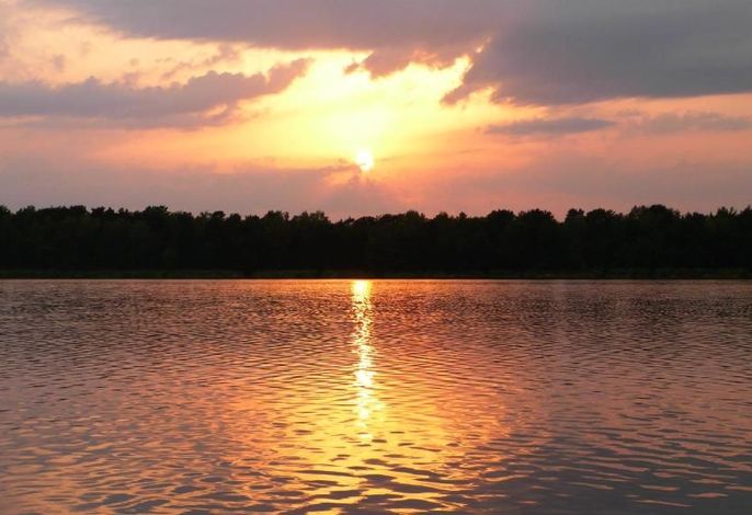 Liubas Insel