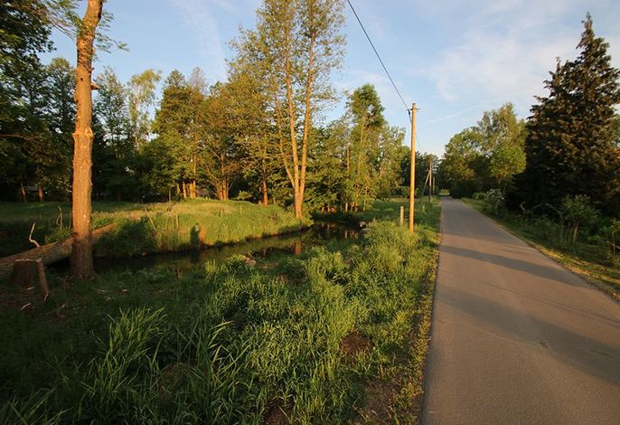 Grüne Farm