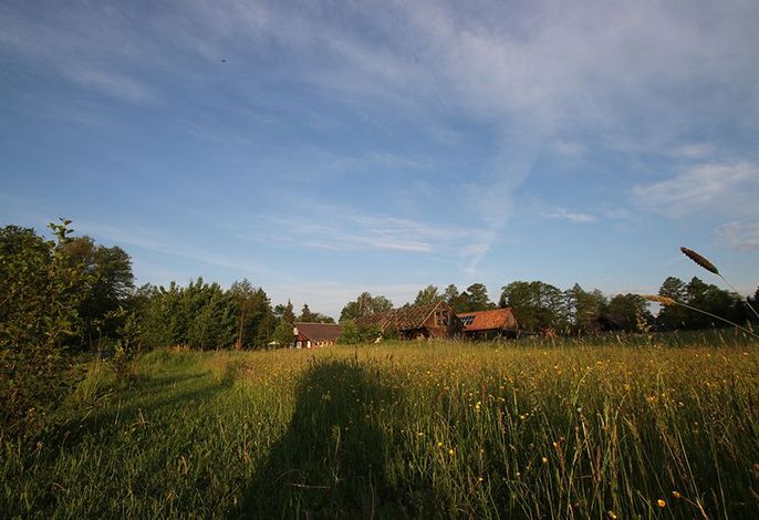 Grüne Farm