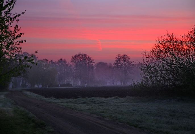 Grüne Farm