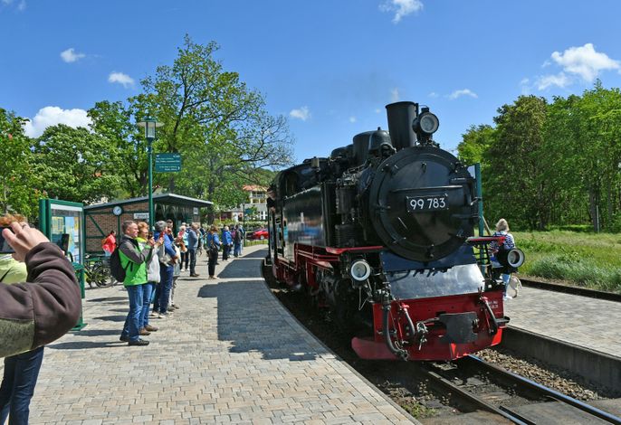 Bild 15