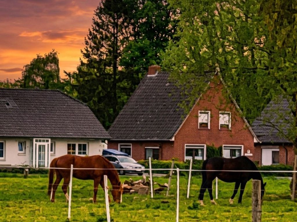 Blick vom Garten