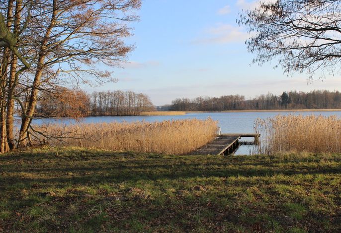 Bild 19