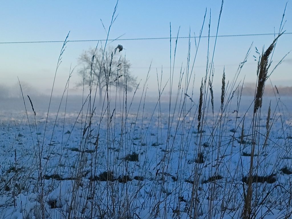 verschneite Felder