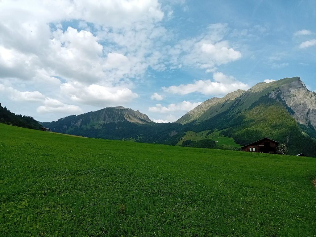 Umgebung