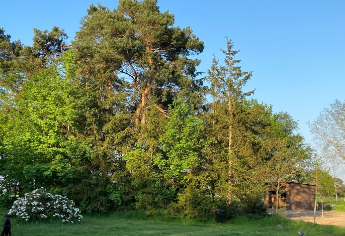 Bild 18