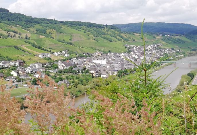 Bild 16