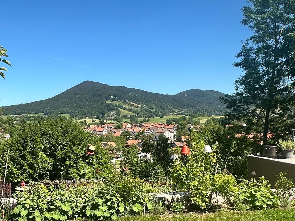 Ausblick