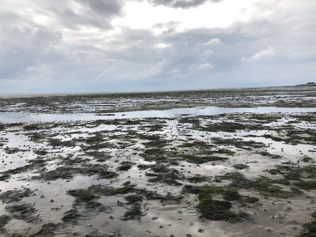 Wandern bei Ebbe im Watt - ein Spaß ...