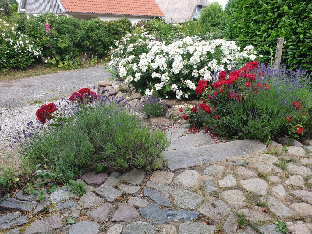 Rotes Haus am Meer - Blick auf das idyllische Grundstück