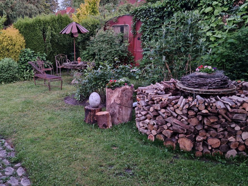Blick in den Garten