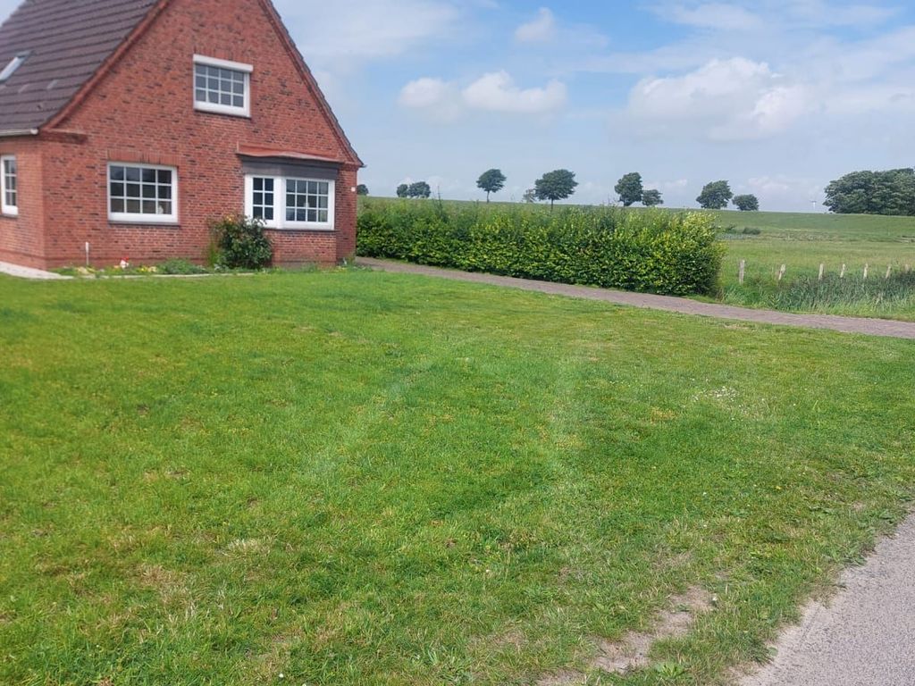 Vorgarten und Auffahrt