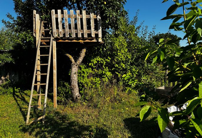 Bild 9