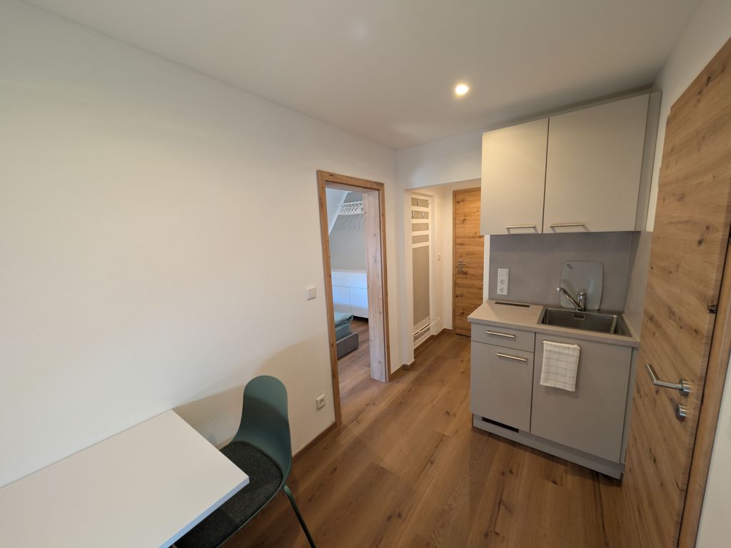 Zwischenbereich / Zimmer mit Küchenzeile und Sitzgelegenheit samt Garderobe und Zugang zum Bad