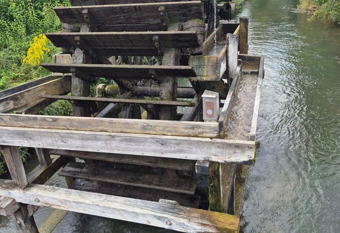 Bild 12