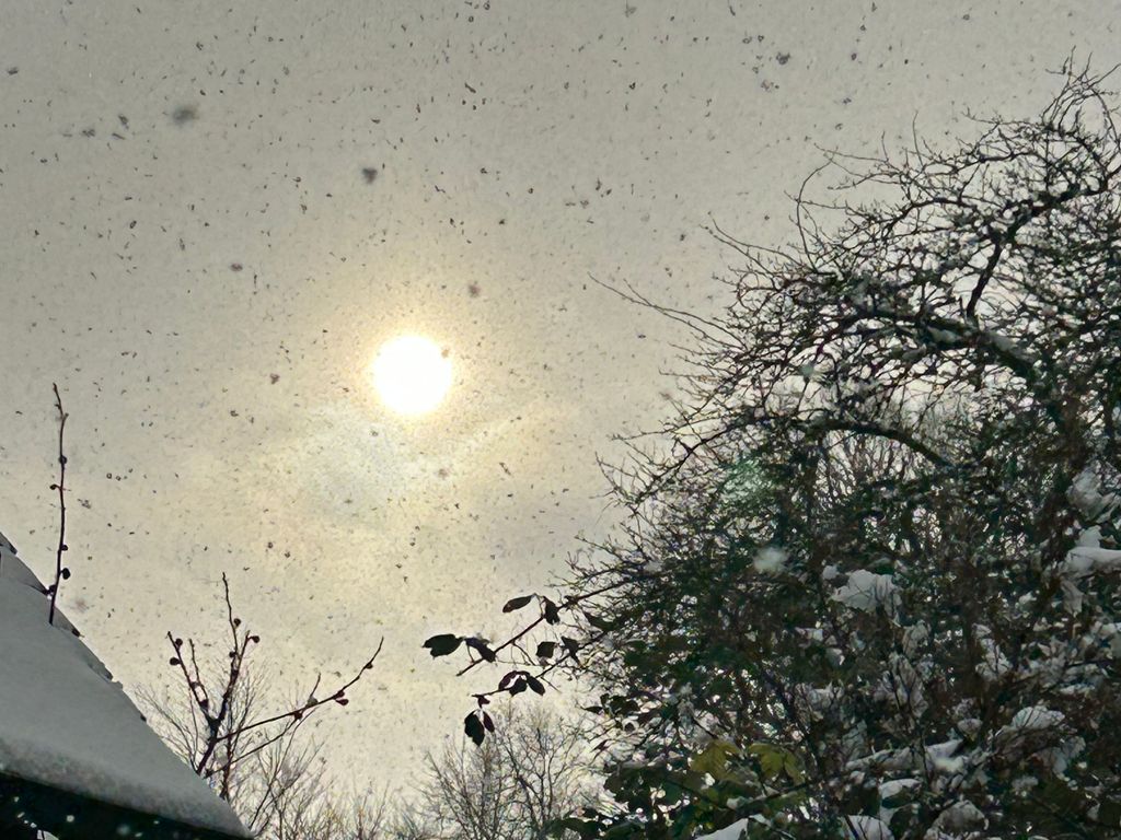 Wintersonne