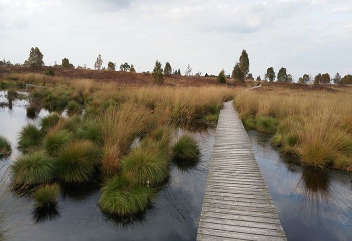 Bild 48
