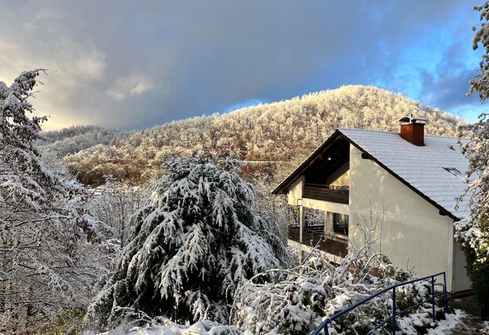 Villa La Pausa