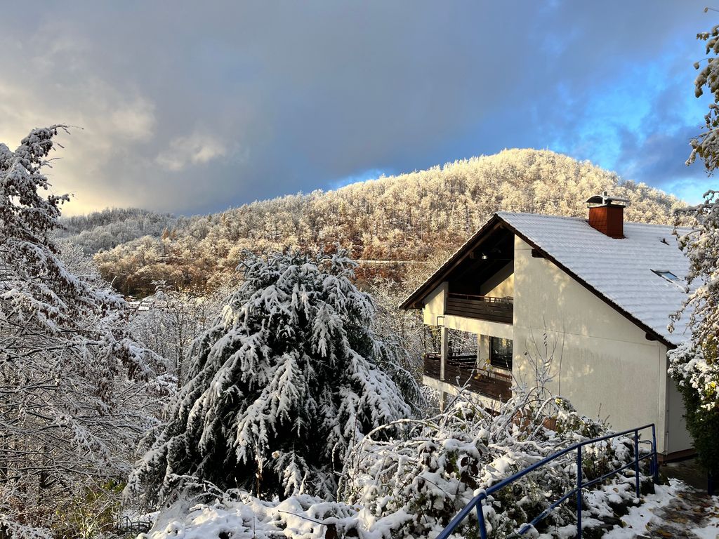 Startbild mit Haus