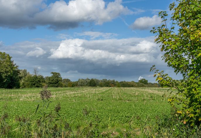 222-2 Ferienwohnung Middelsfähr, Ruheoase inmitten der Natur