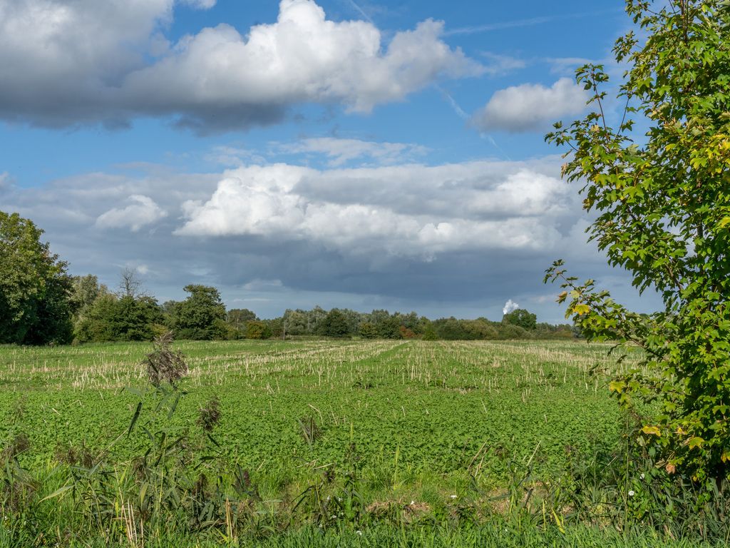 Blick über die Felder