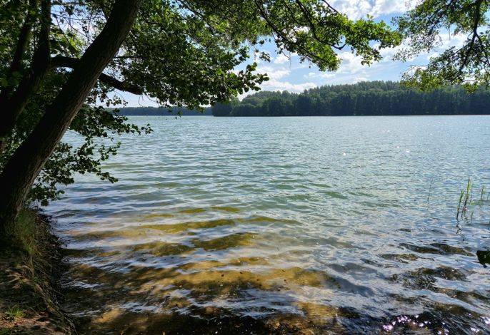 Pagelsee