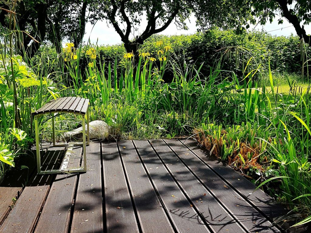 Garten mit Terrasse (Gemeinschaftsnutzung)