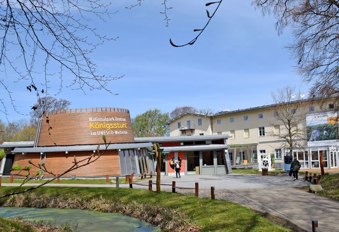 Photo Ferienhaus mit Terrasse auf Wittow 8