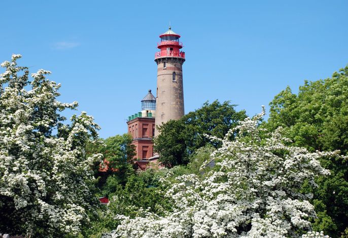 Photo Ferienhaus mit Terrasse auf Wittow 9