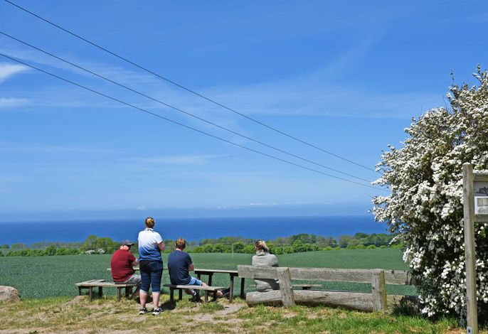Photo großes Ferienhaus mit Kamin in ruhiger Naturlage auf Rügen 6