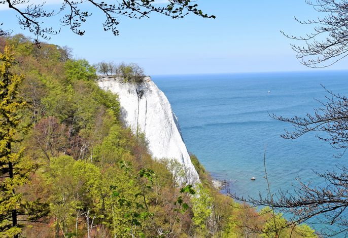 Photo großes Ferienhaus mit Kamin in ruhiger Naturlage auf Rügen 5