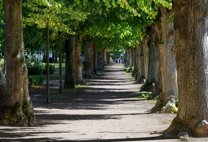 Photo Residenz Unter den Linden Whg. RUL-21 8