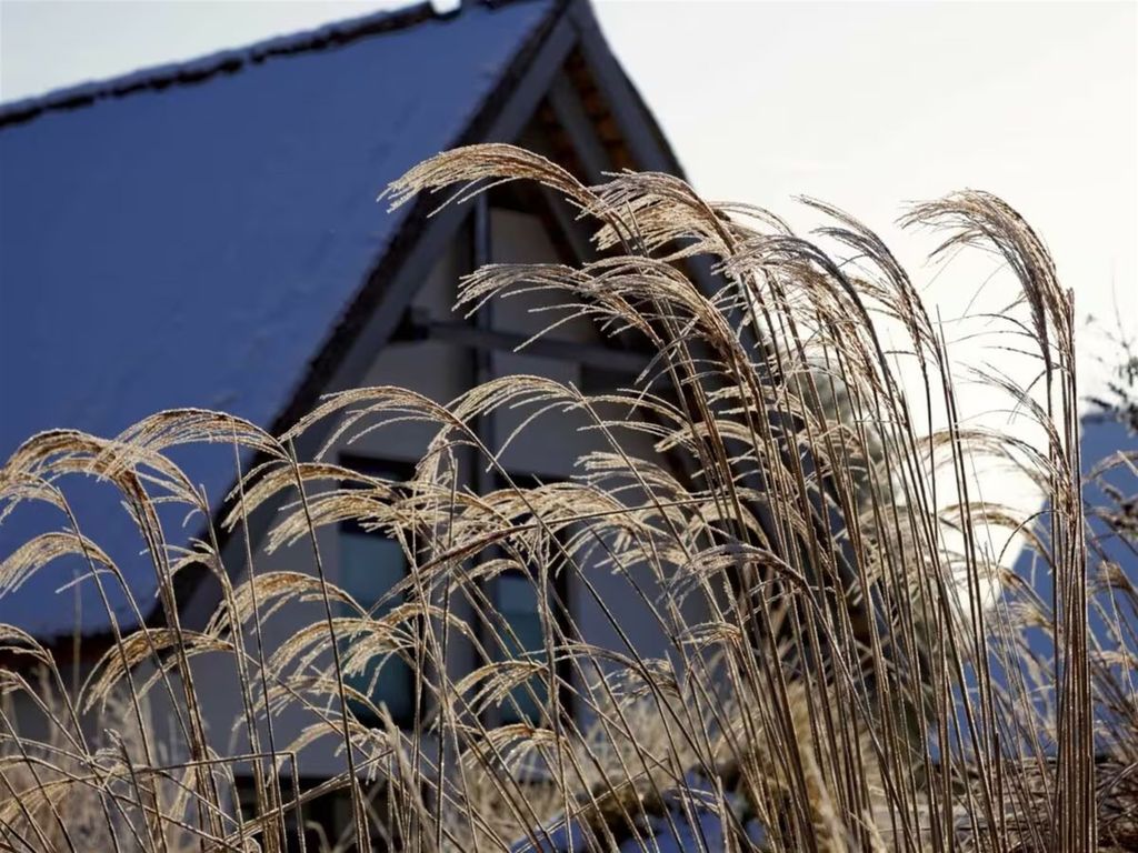 Winter-Impressionen aus Karlshagen und dem Kapitänsweg