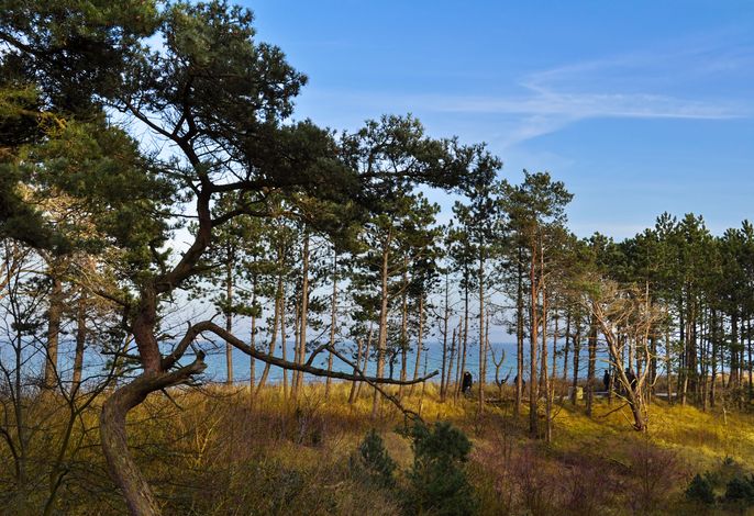 Photo Süd Seeblick 8