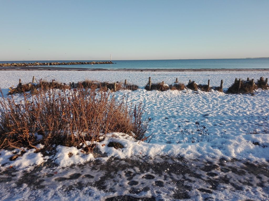 Winterimpression