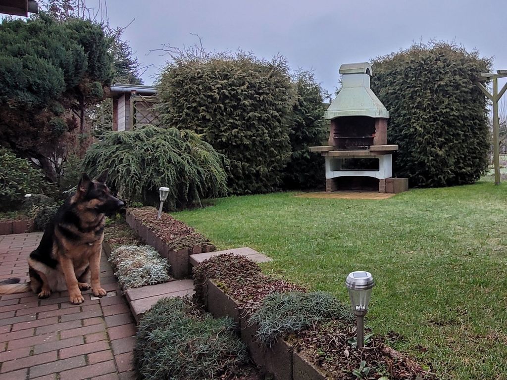 Wachhund (sehr gut erzogen) auf dem Grundstück des Vermieters