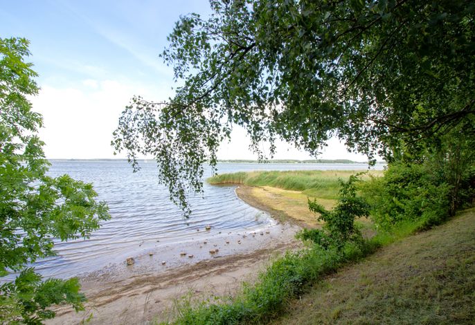 Bild 15