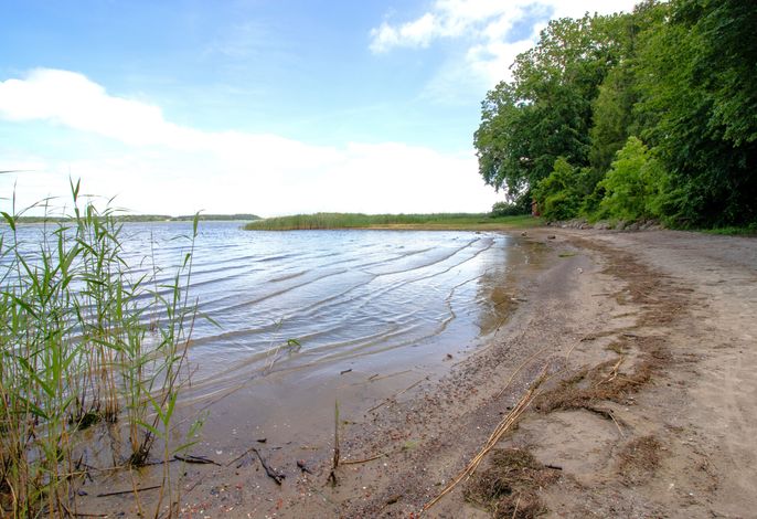 Bild 16