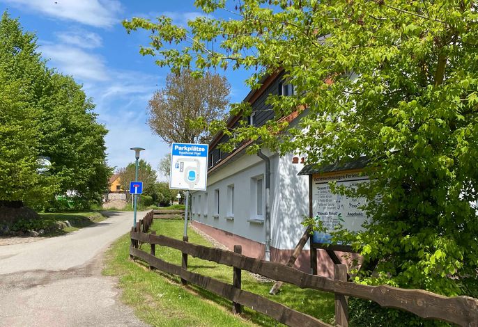 Grauer Esel E5