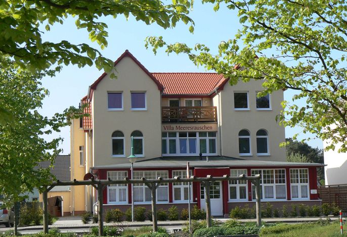 Seestern (EG links)