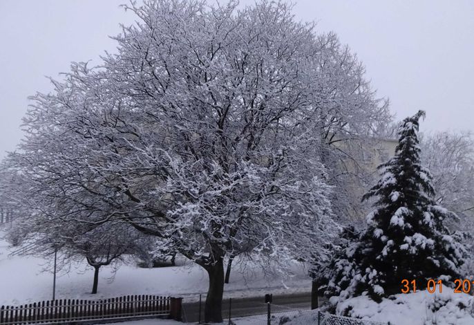 winterliche Landschaft