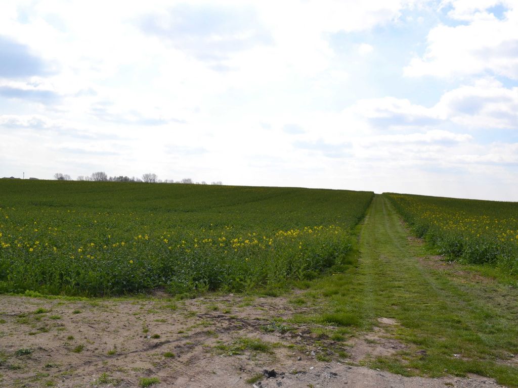 Ausblick auf des Feld