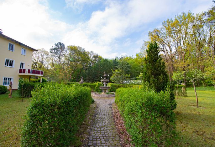 Bild 15
